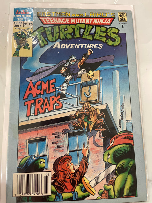 Teenage Mutant Ninja Turtles Adventures #22