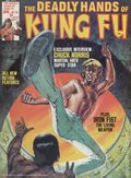 Deadly Hands of Kung Fu (1974 Magazine) #20