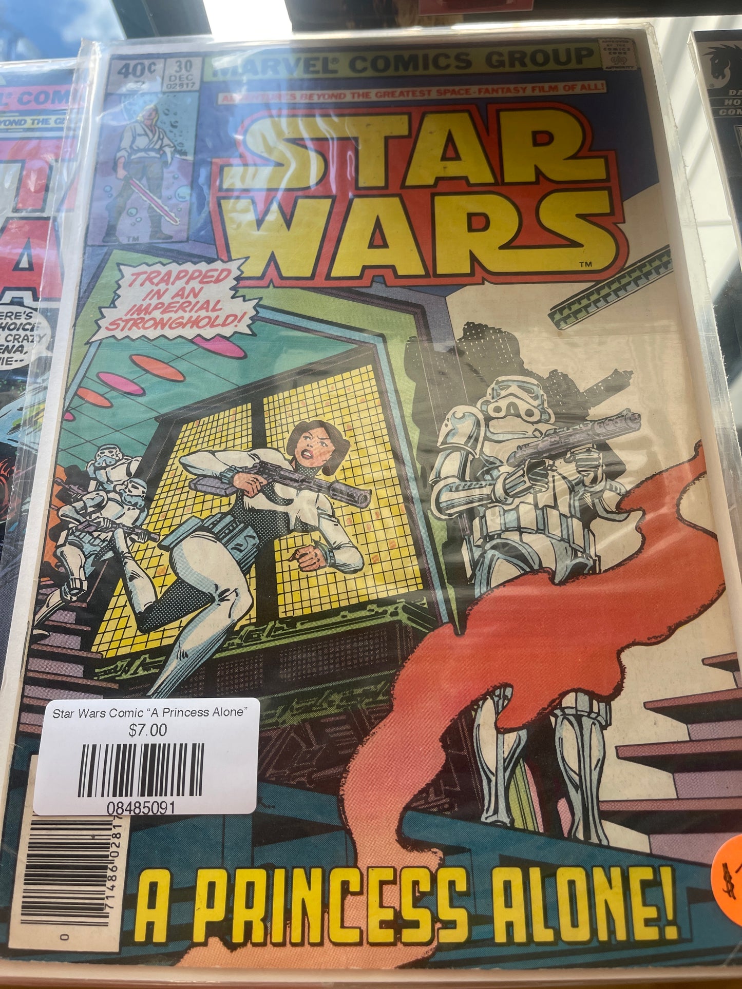 Star Wars Comic “A Princess Alone”