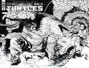 TMNT #143  * 1:25