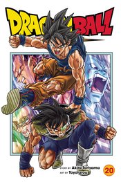 DRAGON BALL SUPER GN VOL 20