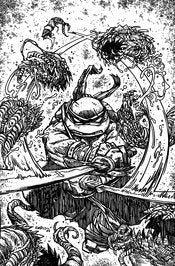 TMNT #146  * 1:50 Eastman